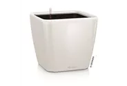 LECHUZA QUADRO Premium LS 50 