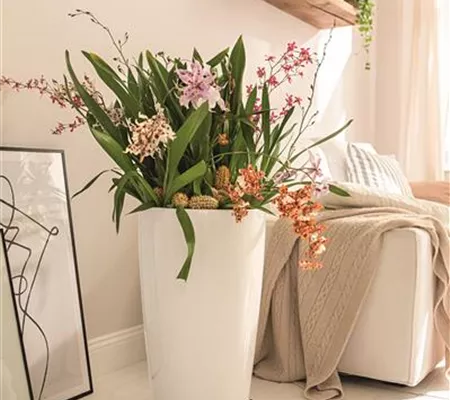 LECHUZA RONDO Premium 32 