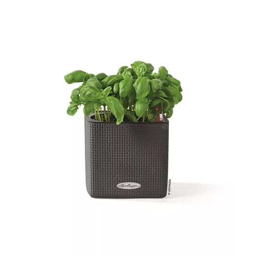 LECHUZA CUBE Color 14 