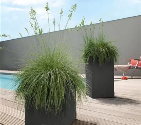 LECHUZA CANTO Stone 30 low