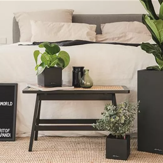 LECHUZA CANTO Stone 40 high