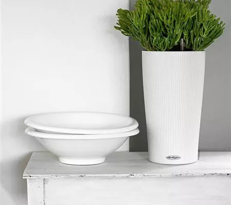 LECHUZA CILINDRO Color 23 