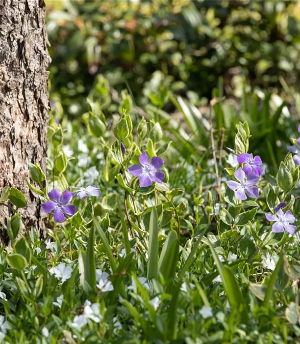 GS659059.jpg