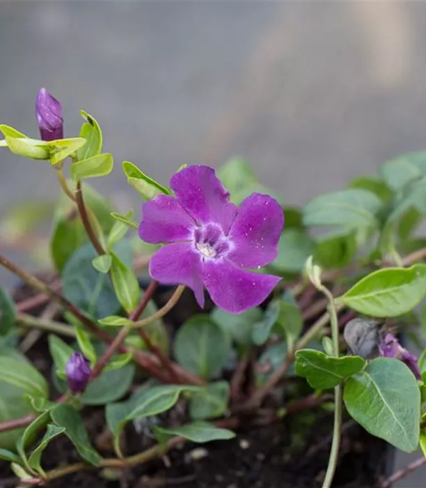 P3001715_2.jpg