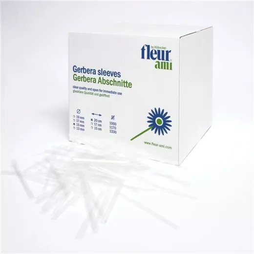 fleur ami GERBERA Abschnitte fleur ami GERBERA Abschnitte