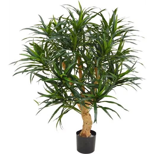 fleur ami DRACAENA REFLEXA Kunstpflanze fleur ami DRACAENA REFLEXA Kunstpflanze