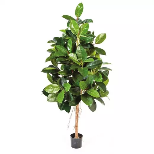 fleur ami FICUS ELASTICA Kunstpflanze fleur ami FICUS ELASTICA Kunstpflanze