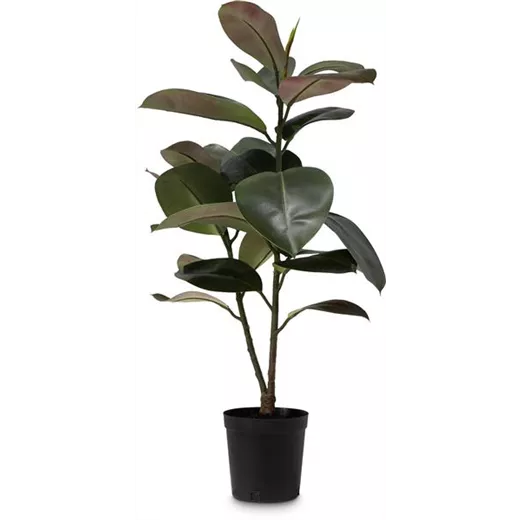 fleur ami FICUS ELASTICA Kunstpflanze fleur ami FICUS ELASTICA Kunstpflanze