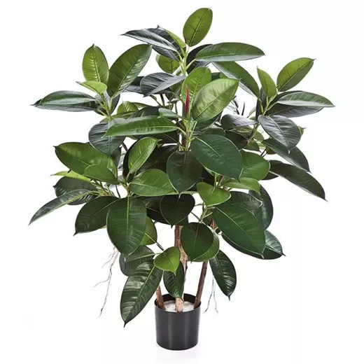fleur ami FICUS ELASTICA Kunstpflanze fleur ami FICUS ELASTICA Kunstpflanze