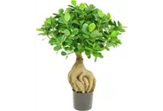 fleur ami FICUS PANDA BONSAI Kunstpflanze