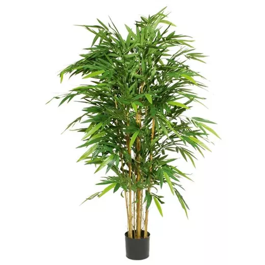 fleur ami BAMBUS DELUXE Kunstpflanze fleur ami BAMBUS DELUXE Kunstpflanze