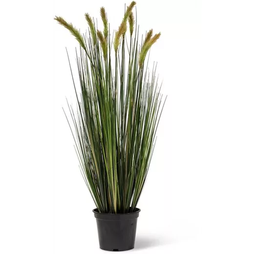 fleur ami FOXTAIL GRAS Kunstpflanze fleur ami FOXTAIL GRAS Kunstpflanze