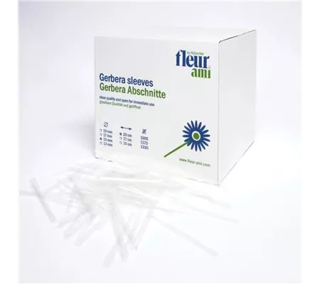 fleur ami GERBERA Abschnitte fleur ami GERBERA Abschnitte