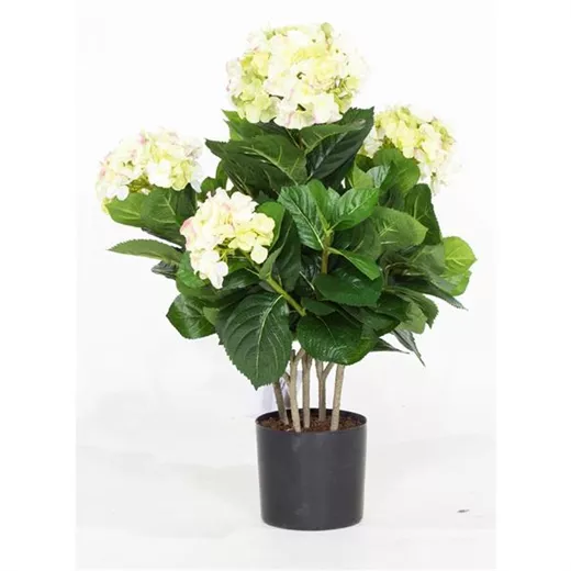 fleur ami HORTENSIE Kunstpflanze fleur ami HORTENSIE Kunstpflanze