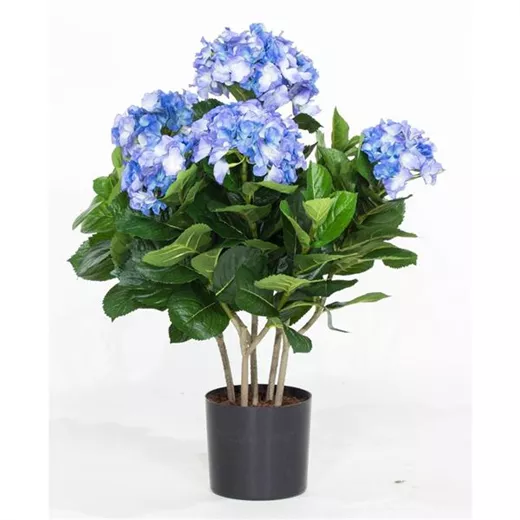 fleur ami HORTENSIE Kunstpflanze fleur ami HORTENSIE Kunstpflanze