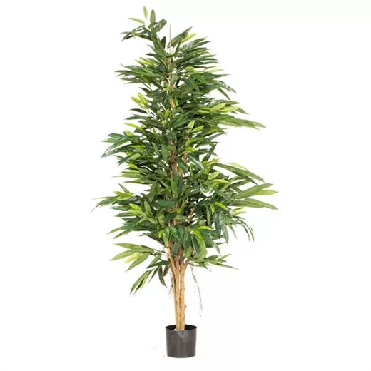 fleur ami LONGIFOLIA ROYAL NATURAL Kunstpflanze fleur ami LONGIFOLIA ROYAL NATURAL Kunstpflanze