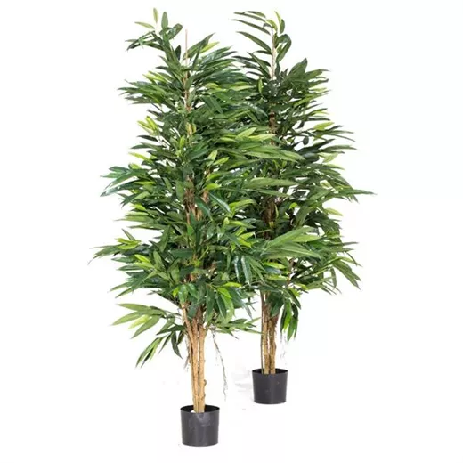 fleur ami LONGIFOLIA ROYAL NATURAL Kunstpflanze fleur ami LONGIFOLIA ROYAL NATURAL Kunstpflanze