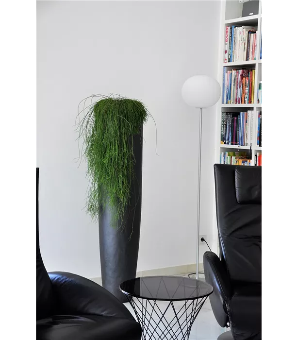 18561_loft_pflanzgefaess_black-iron~03.jpg