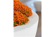fleur ami POLYSTONE EGO PLUS Pflanzschale
