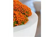 fleur ami POLYSTONE EGO PLUS Pflanzschale