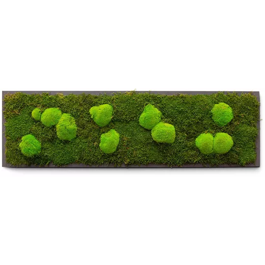 fleur ami PREMIUM Moos-Bild fleur ami PREMIUM Moos-Bild