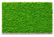 fleur ami PREMIUM Moos-Bild
