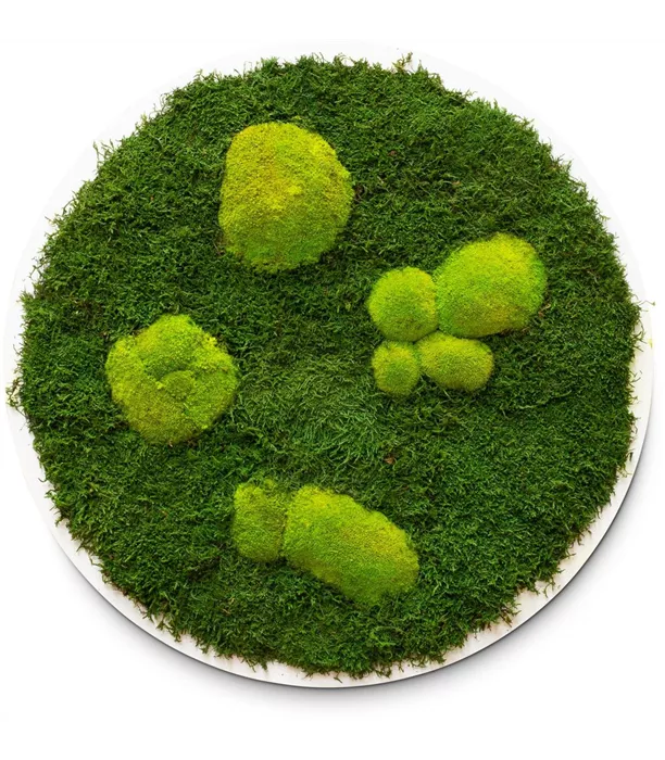 mossbild-fleur-ami-23288-I.jpg