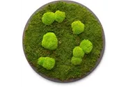 fleur ami PREMIUM Moos-Bild