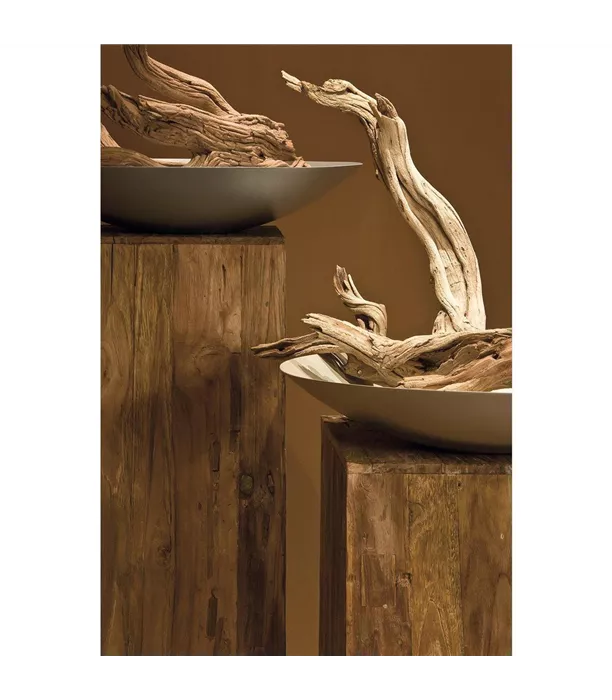 19891_teak_001~01.jpg