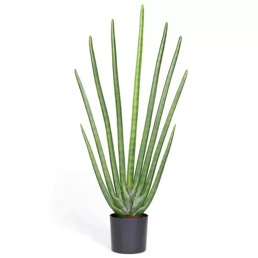 fleur ami SANSEVIERIA CYLINDRICA Kunstpflanze fleur ami SANSEVIERIA CYLINDRICA Kunstpflanze