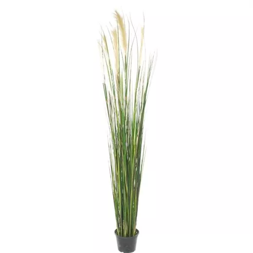 fleur ami ROHRKOLBEN (TYPHA) Kunstpflanze fleur ami ROHRKOLBEN (TYPHA) Kunstpflanze
