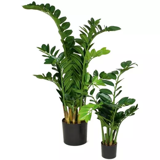 fleur ami ZAMIOCULCAS Kunstpflanze fleur ami ZAMIOCULCAS Kunstpflanze