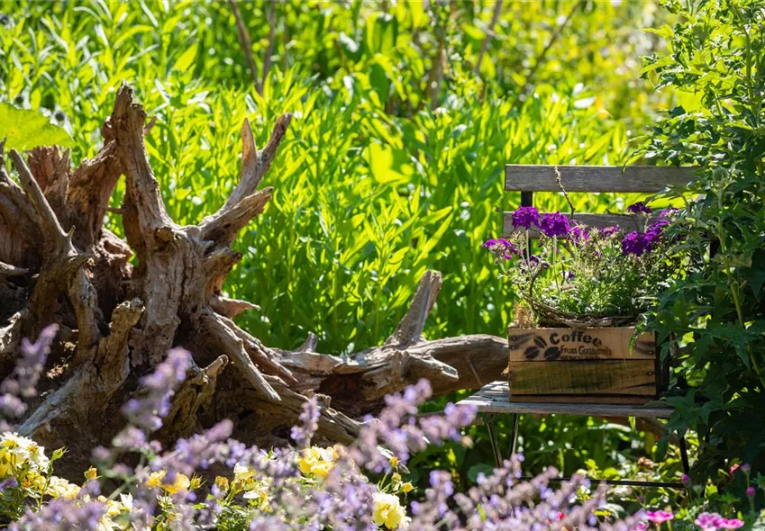 Gartenambiente Gartenambiente
