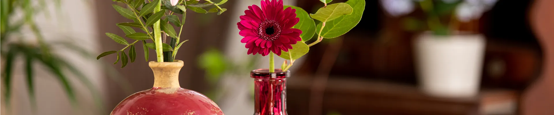 Gerberas in Vasen