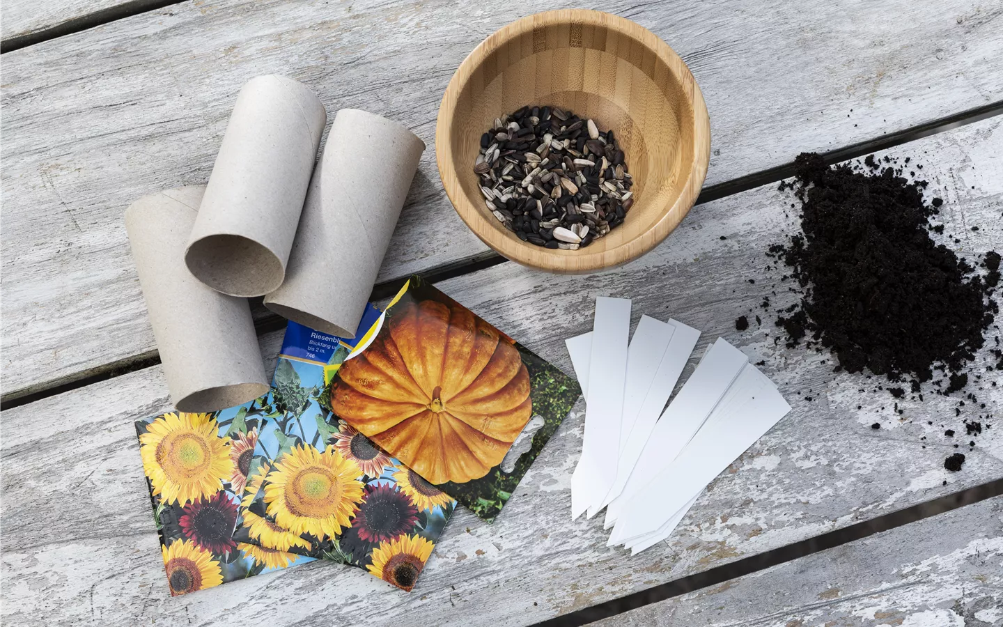 DIY Anzuchttöpfchen: Material DIY Anzuchttöpfchen: Material