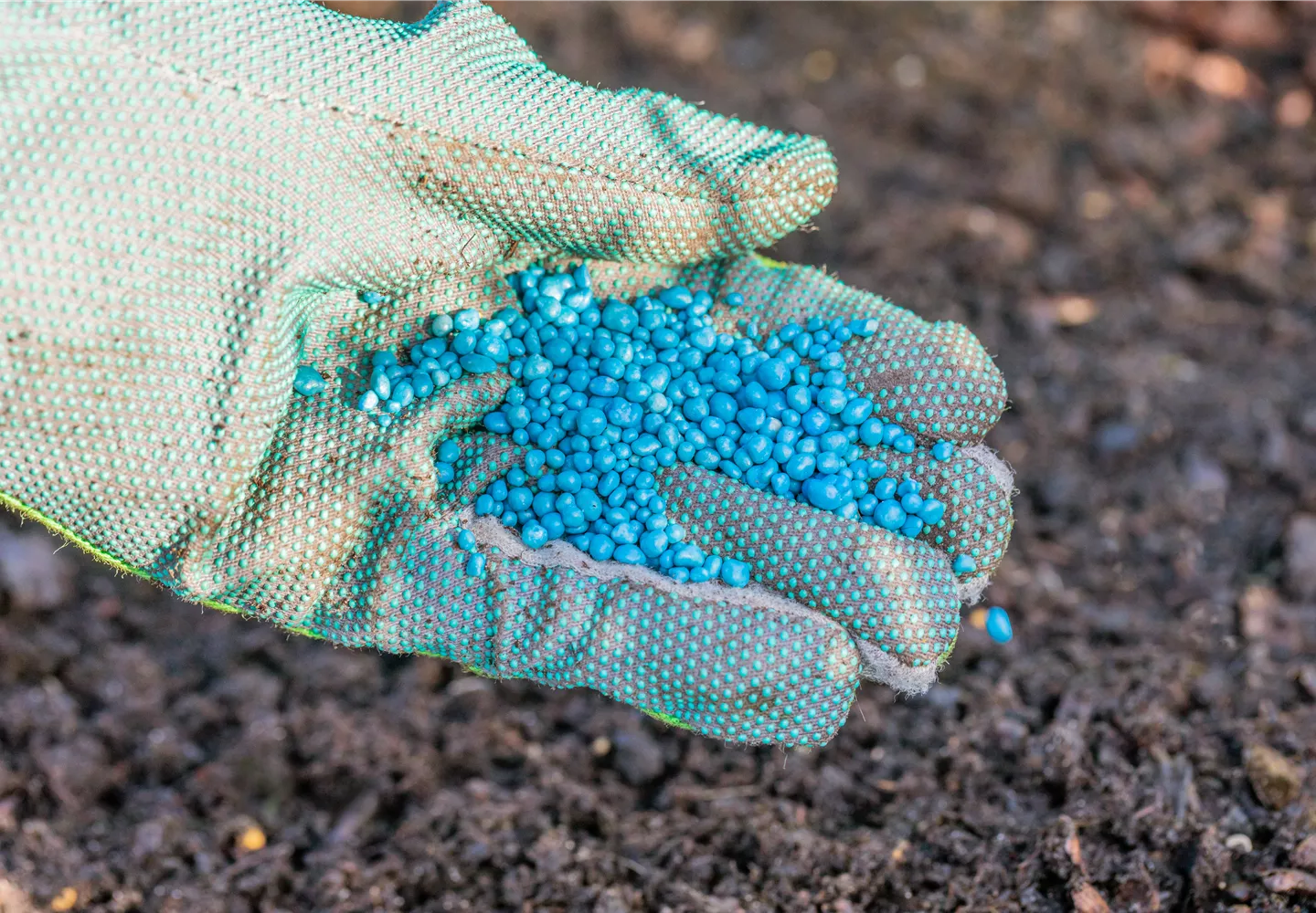 Dünger - Blaukorn Dünger - Blaukorn