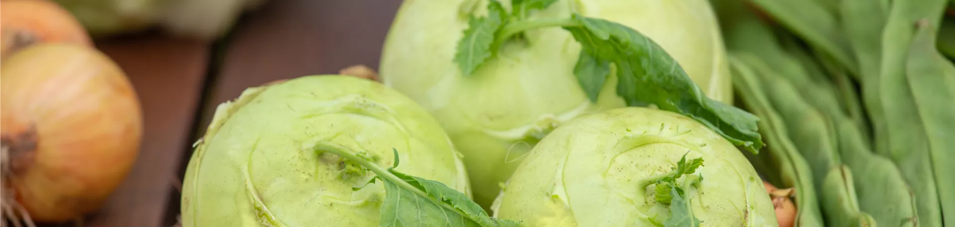 Kohlrabi Kohlrabi