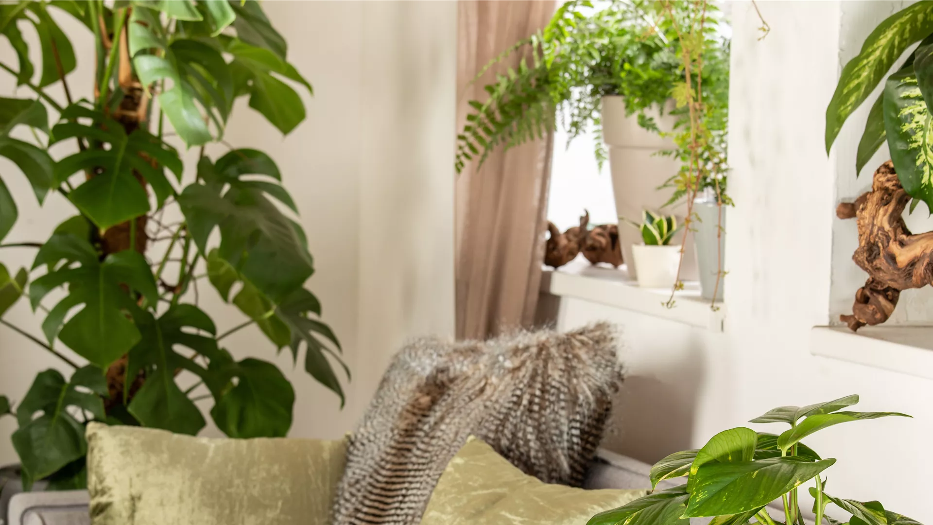 Titelbild_Shop-the-Look_UrbanJungle.jpg Titelbild_Shop-the-Look_UrbanJungle.jpg