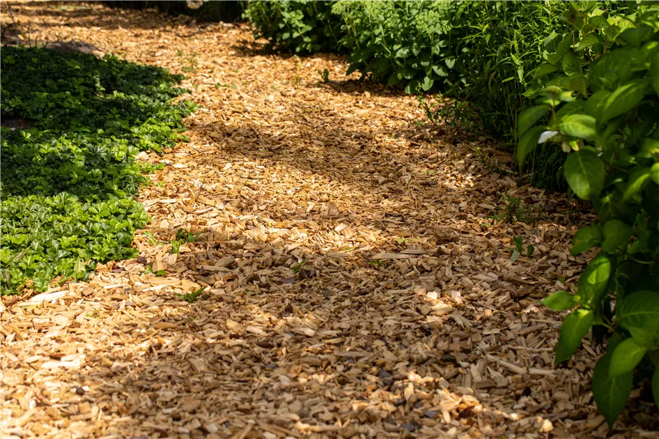 Rindenmulch grob & fein gnstig online kaufen | Florado.de
