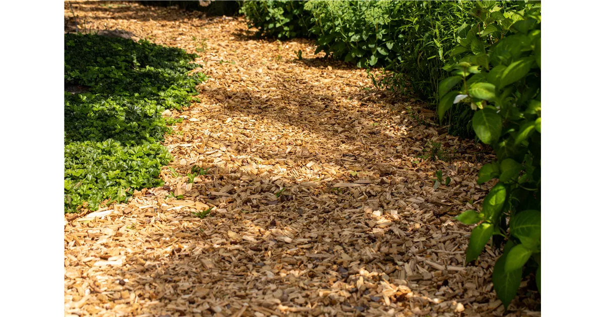 Rindenmulch grob & fein gnstig online kaufen | Florado.de