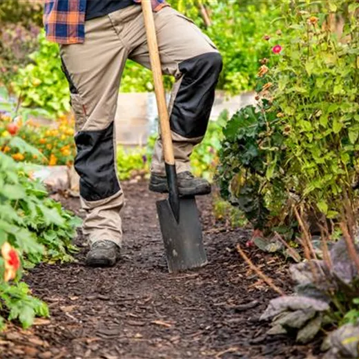 Die Gartenerde verbessern und den Pflanzen Gutes tun Die Gartenerde verbessern und den Pflanzen Gutes tun