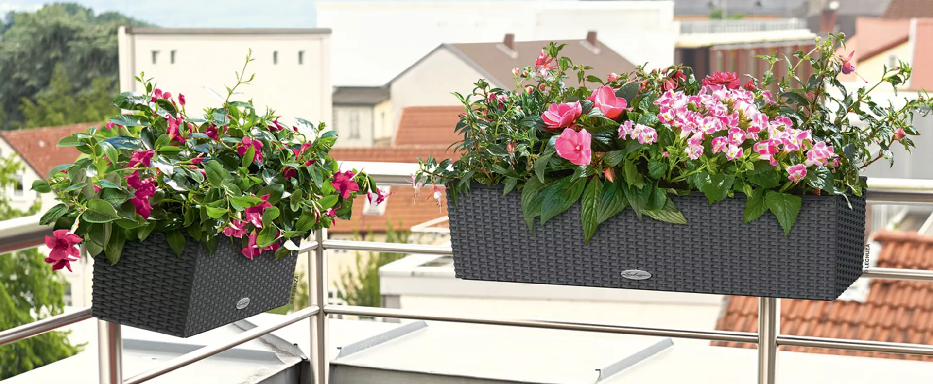 Lechuza_Shop-the-Look-BALCONERA-Cottage-50.png Lechuza_Shop-the-Look-BALCONERA-Cottage-50.png