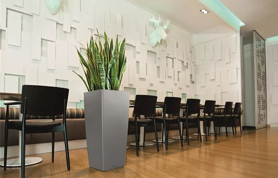 Hier geht's zu unseren LECHUZA CUBICO Premium 30 4008789181855_CubicoPremium_30_SilberMetallic.tif