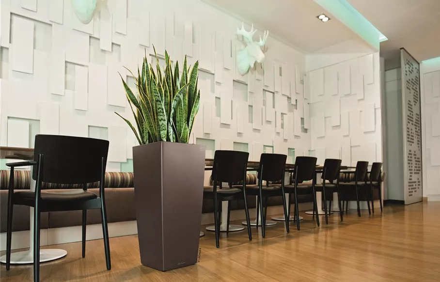 Hier geht's zu unseren LECHUZA CUBICO Premium 30 4008789181824_CubicoPremium_30_EspressoMetallic.tif