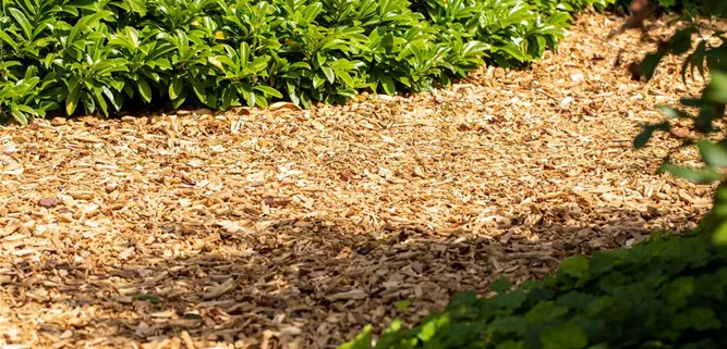 Rindenmulch Rindenmulch
