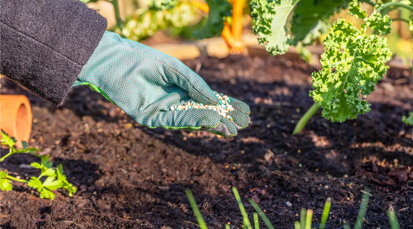 Der richtige Gartendünger sorgt für gesunde Pflanzen Der richtige Gartendünger sorgt für gesunde Pflanzen