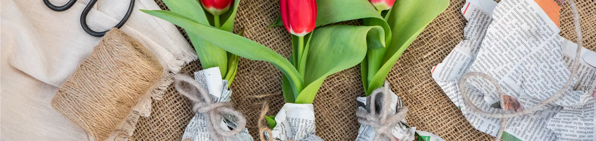 Tulpen im Ambiente Tulpen im Ambiente