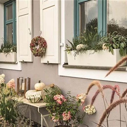 LECHUZA BALCONERA Color 80 