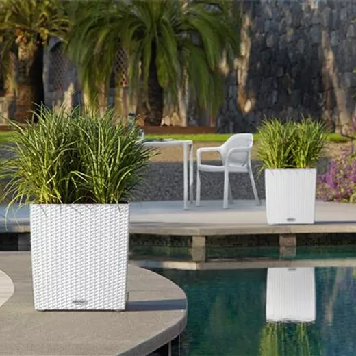 LECHUZA CUBE Cottage 40 