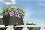 LECHUZA BALCONERA Cottage 50 